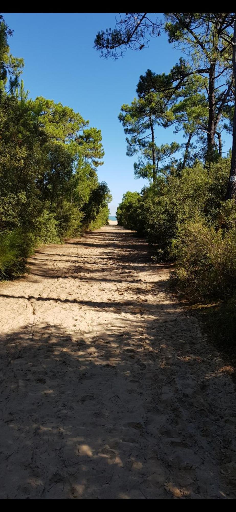 Jolie Maison Familiale Oleronaise Saint-Georges-d'Oleron Eksteriør billede